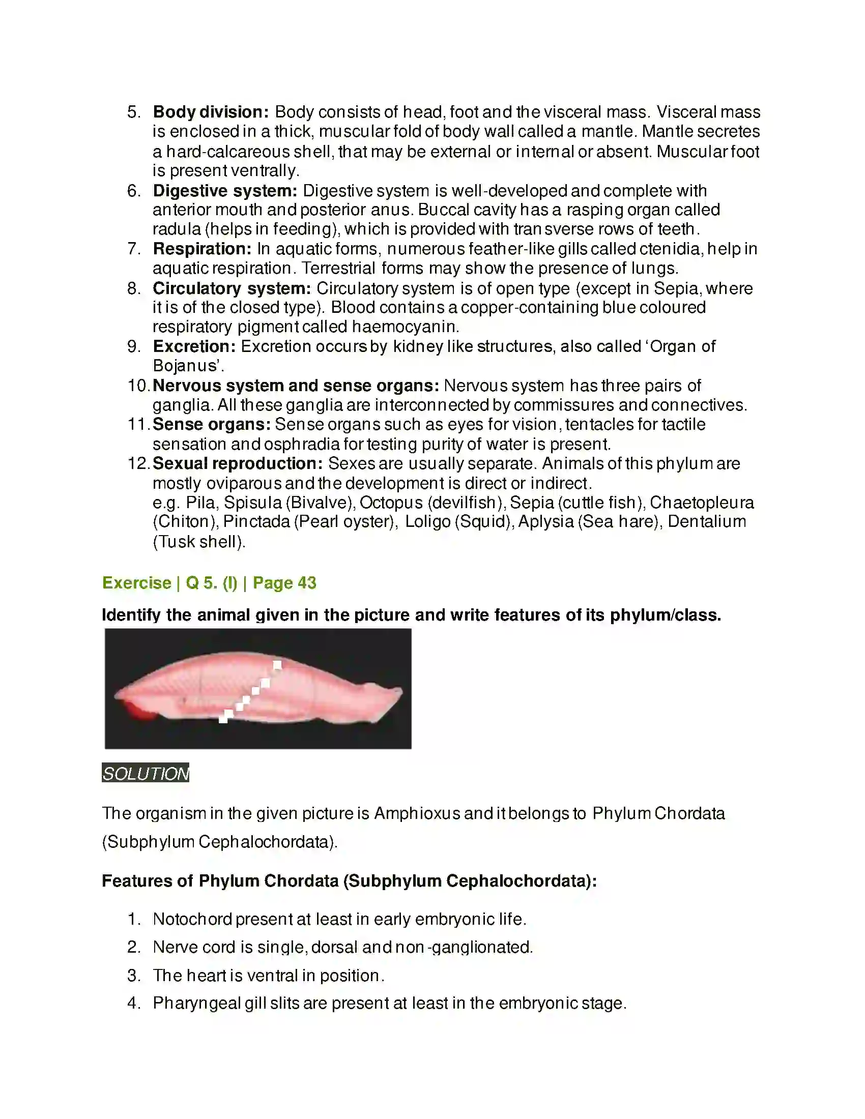 Maharashtra Board Class 11th Biology Kingdom Animalia Solution 14