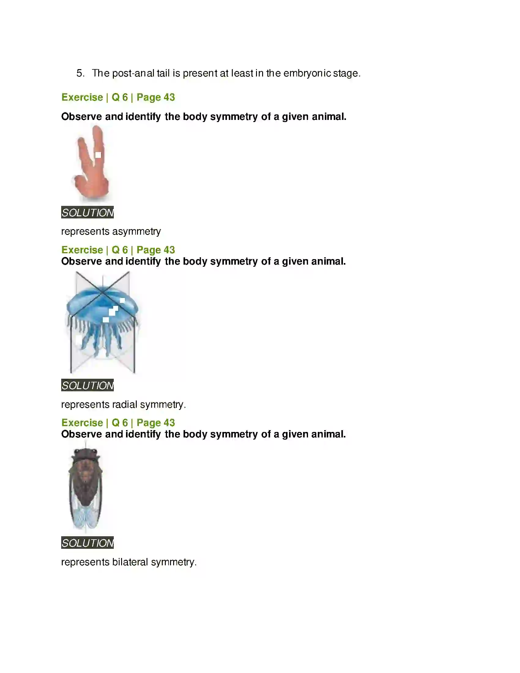 Maharashtra Board Class 11th Biology Kingdom Animalia Solution 15