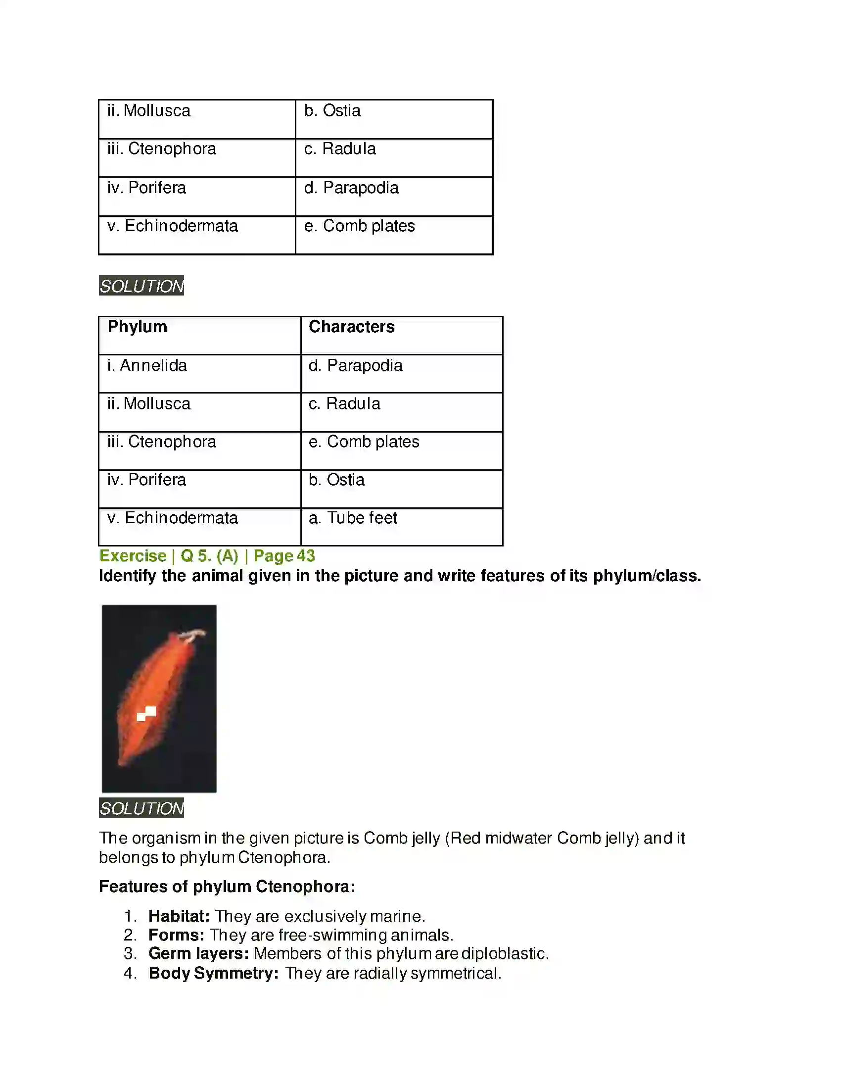 Maharashtra Board Class 11th Biology Kingdom Animalia Solution 7