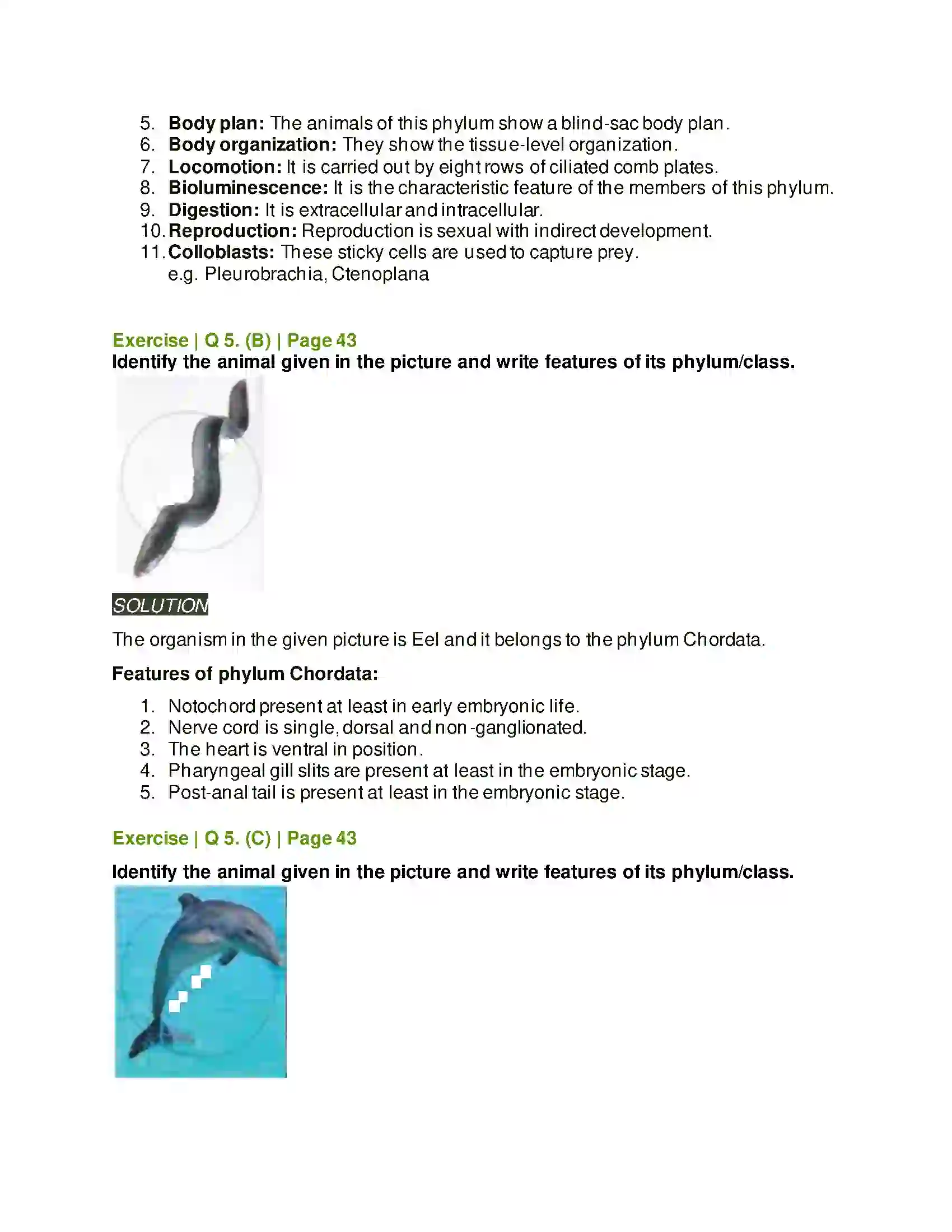 Maharashtra Board Class 11th Biology Kingdom Animalia Solution 8
