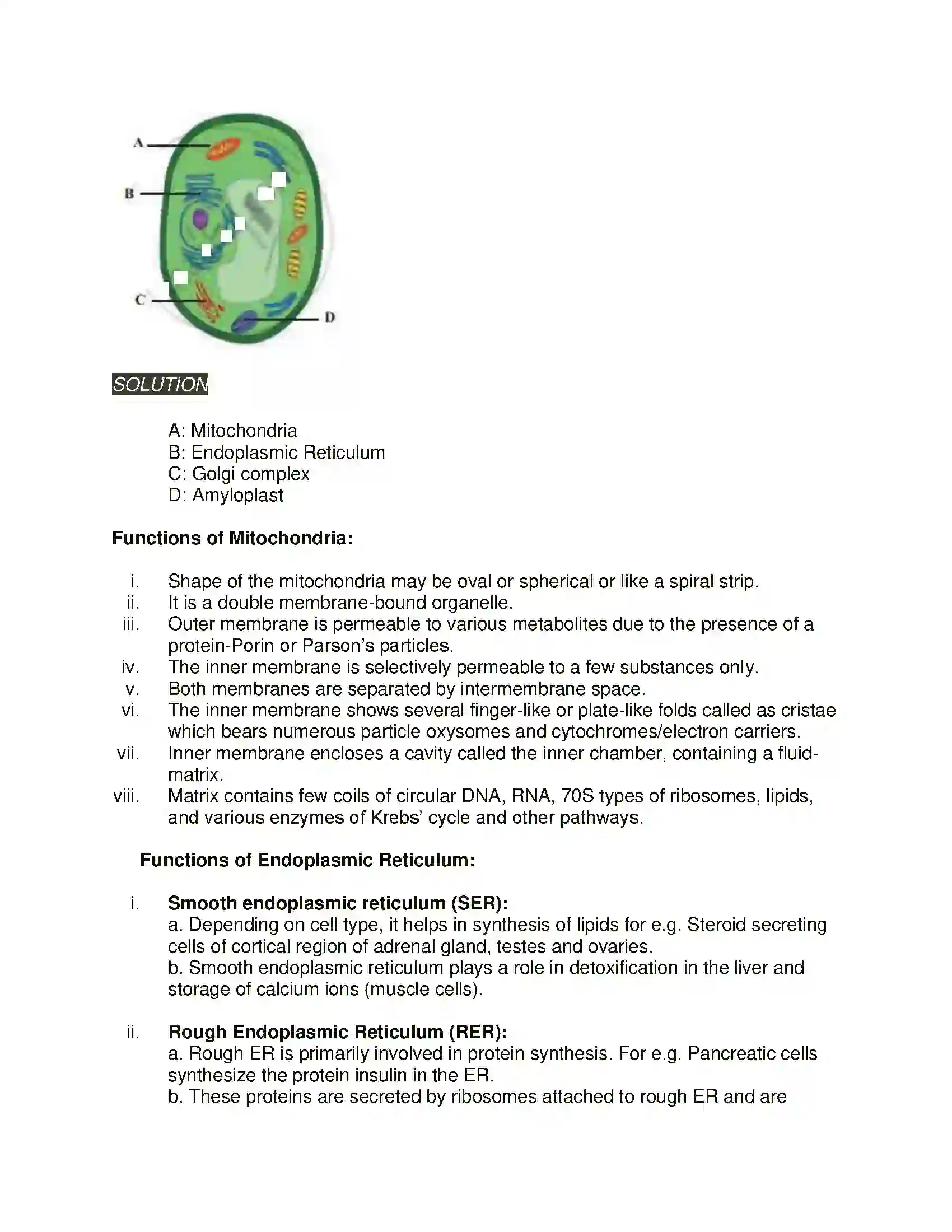 Maharashtra Board Class 11th Biology Cell Structure and Organization Solution 11