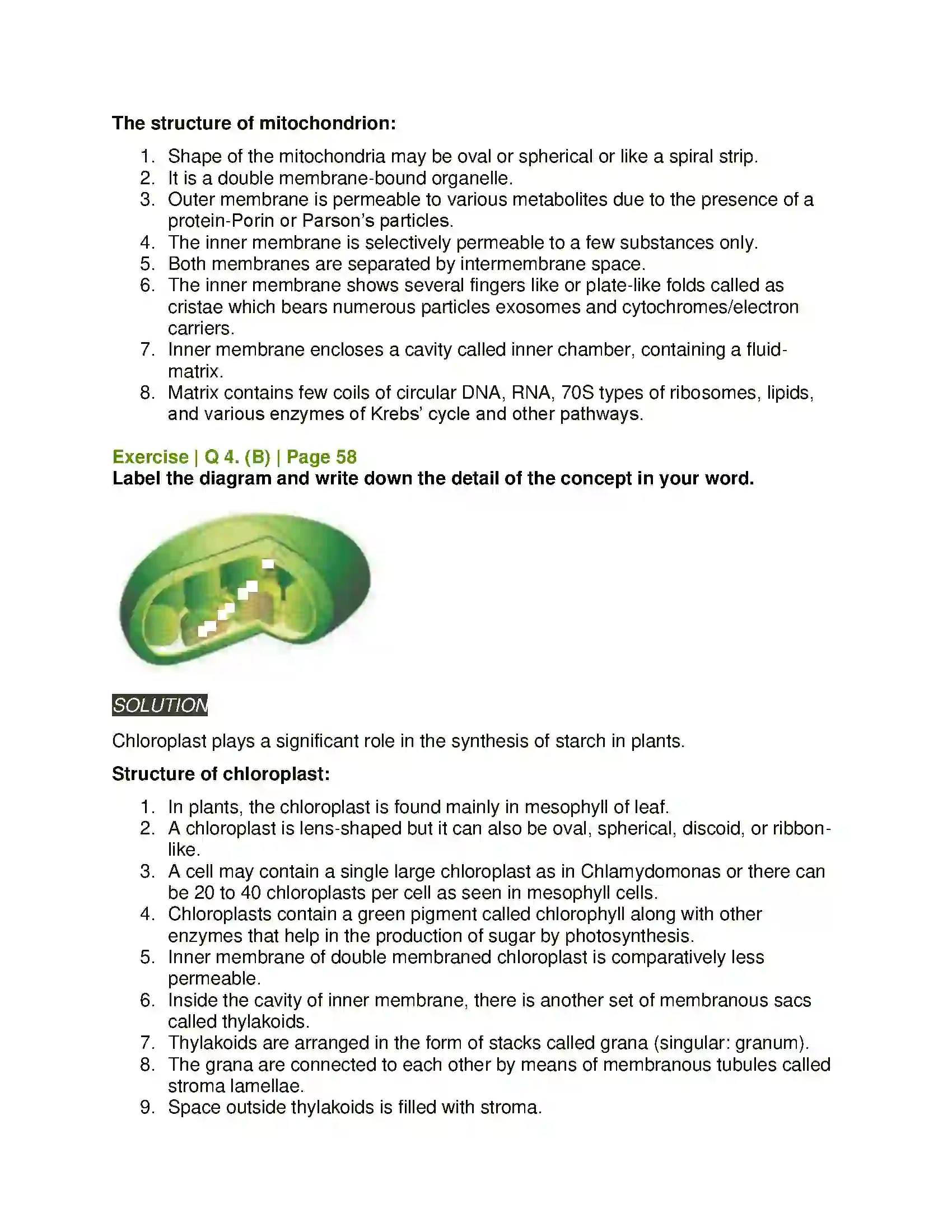 Maharashtra Board Class 11th Biology Cell Structure and Organization Solution 7