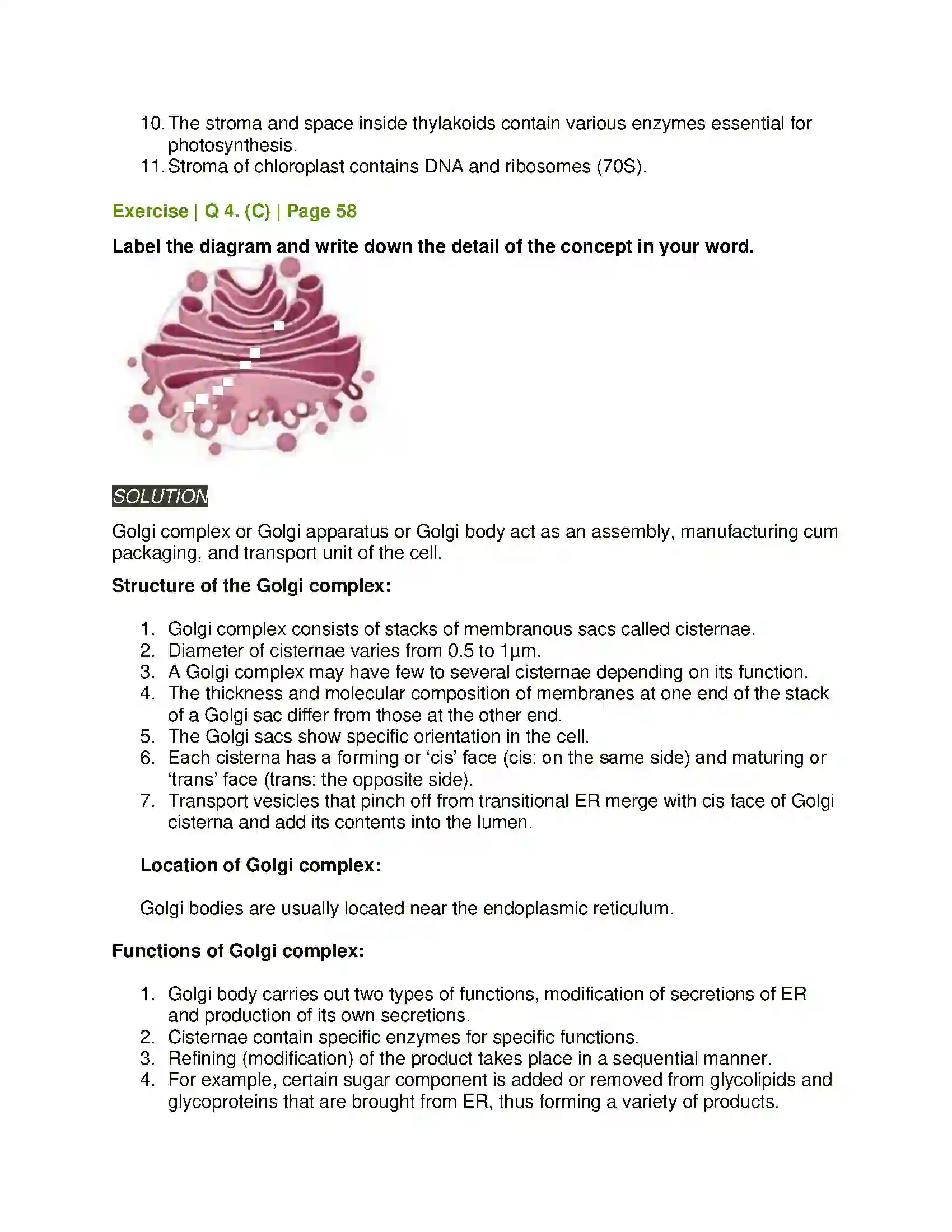 Maharashtra Board Class 11th Biology Cell Structure and Organization Solution 8