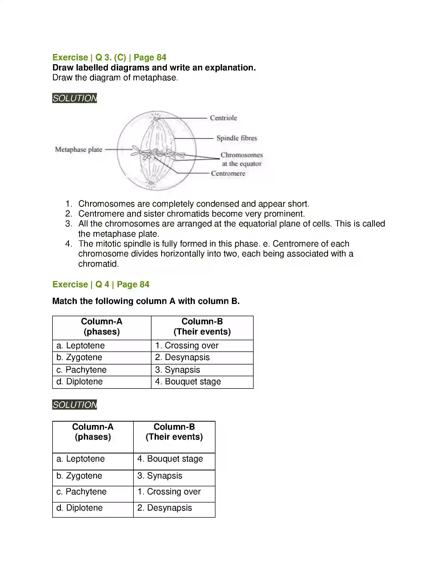 Maharashtra Board Class 11th Biology Cell Division Solution 12
