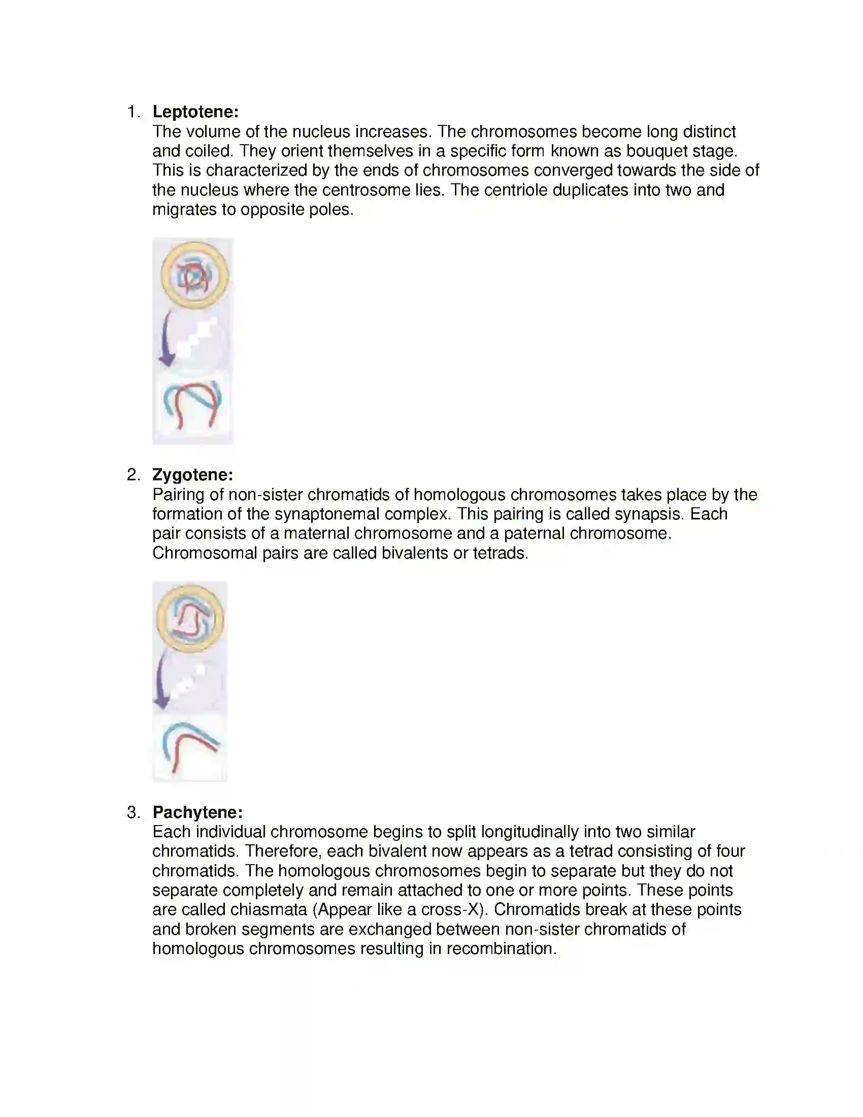 Maharashtra Board Class 11th Biology Cell Division Solution 6