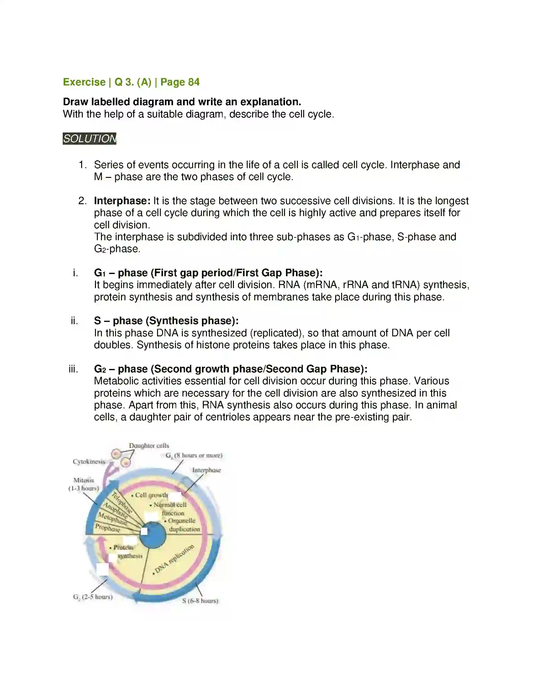 Maharashtra Board Class 11th Biology Cell Division Solution 8