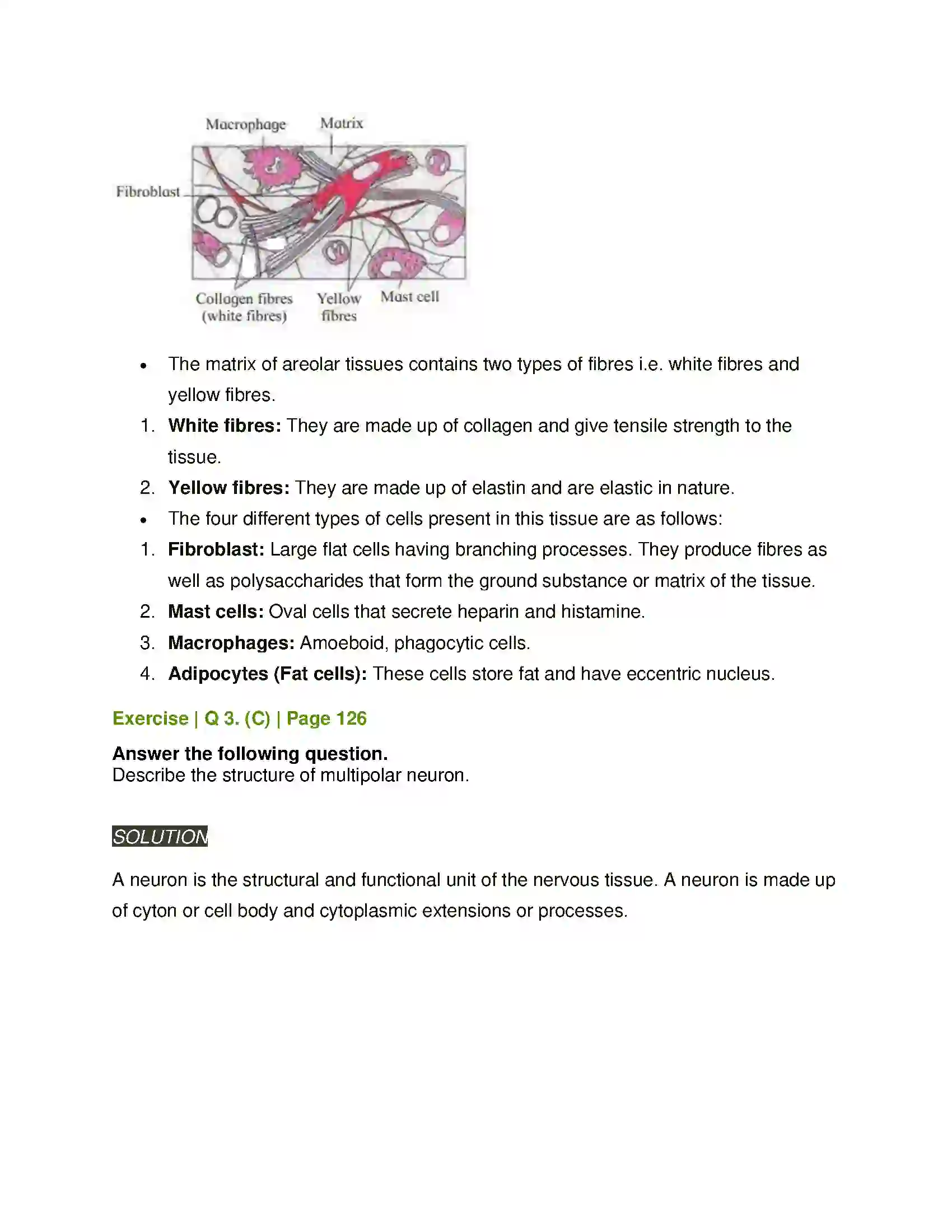 Maharashtra Board Class 11th Biology Animal Tissue Solution 5
