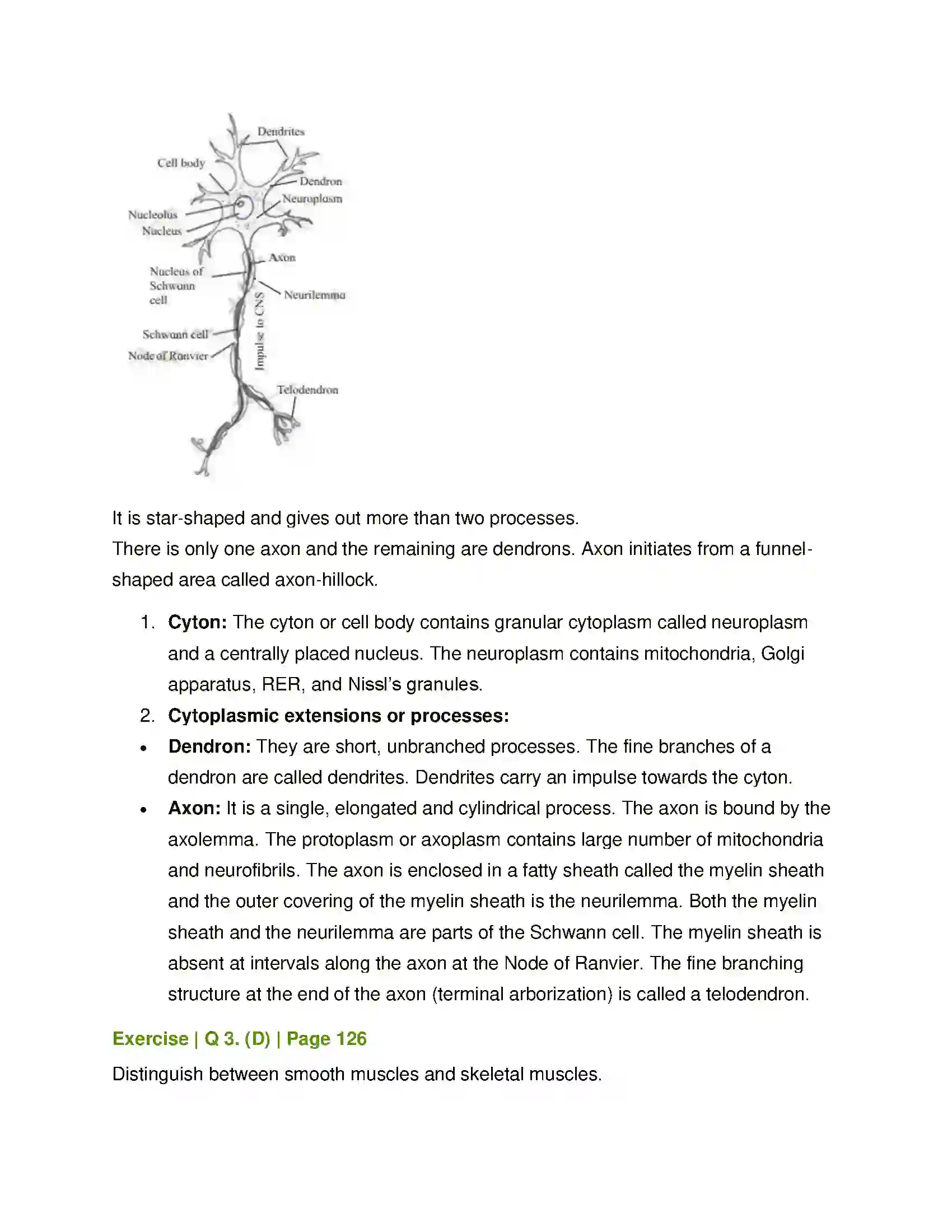 Maharashtra Board Class 11th Biology Animal Tissue Solution 6