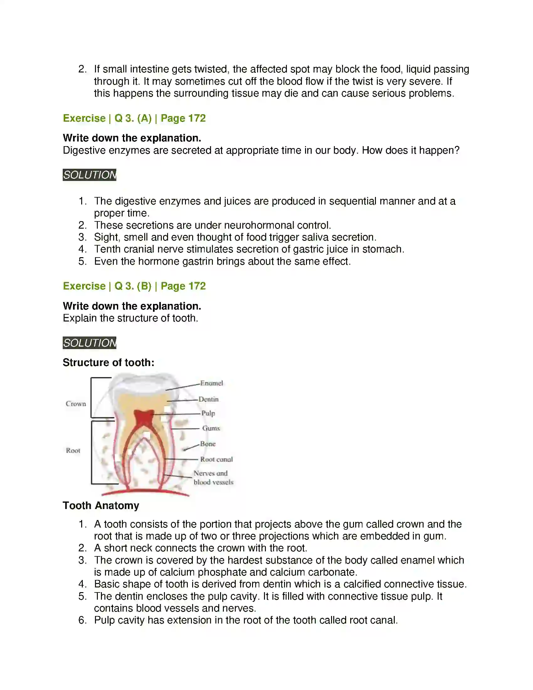Maharashtra Board Class 11th Biology Human Nutrition Solution 3