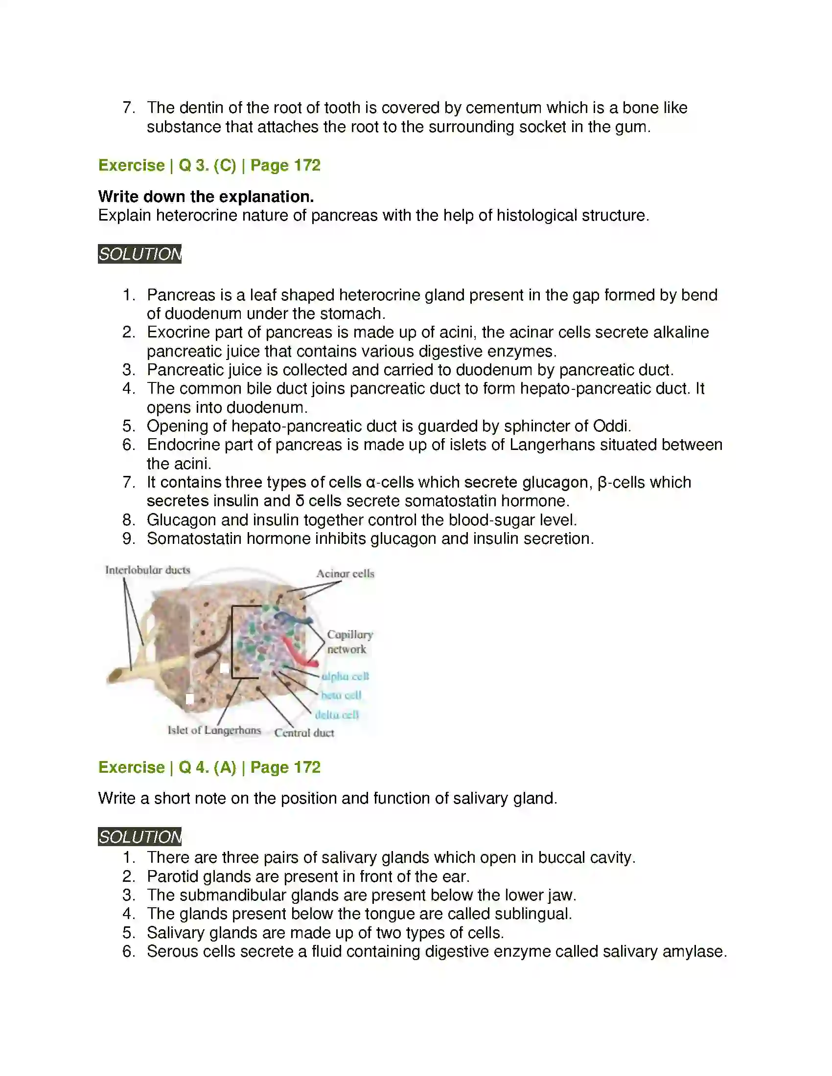 Maharashtra Board Class 11th Biology Human Nutrition Solution 4