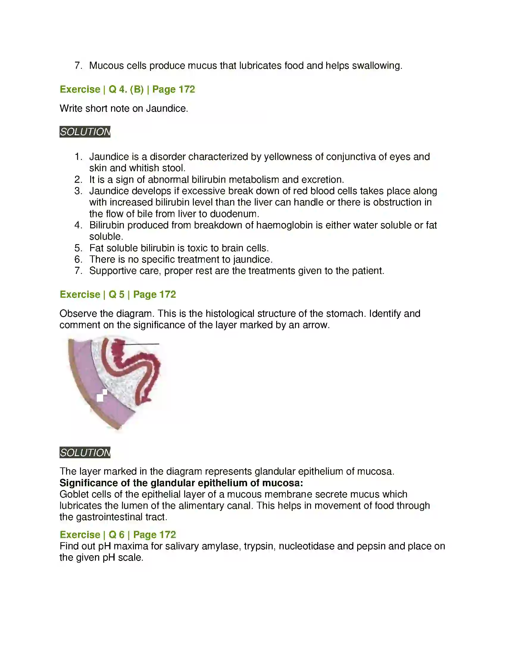 Maharashtra Board Class 11th Biology Human Nutrition Solution 5