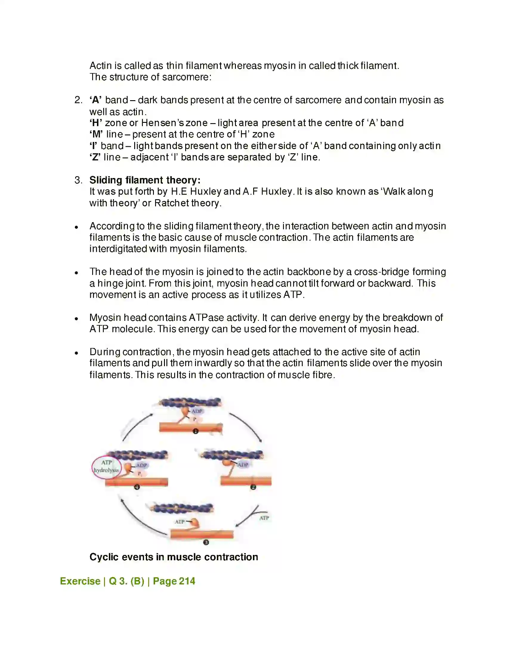 Maharashtra Board Class 11th Biology Skeleton and Movement Solution 6