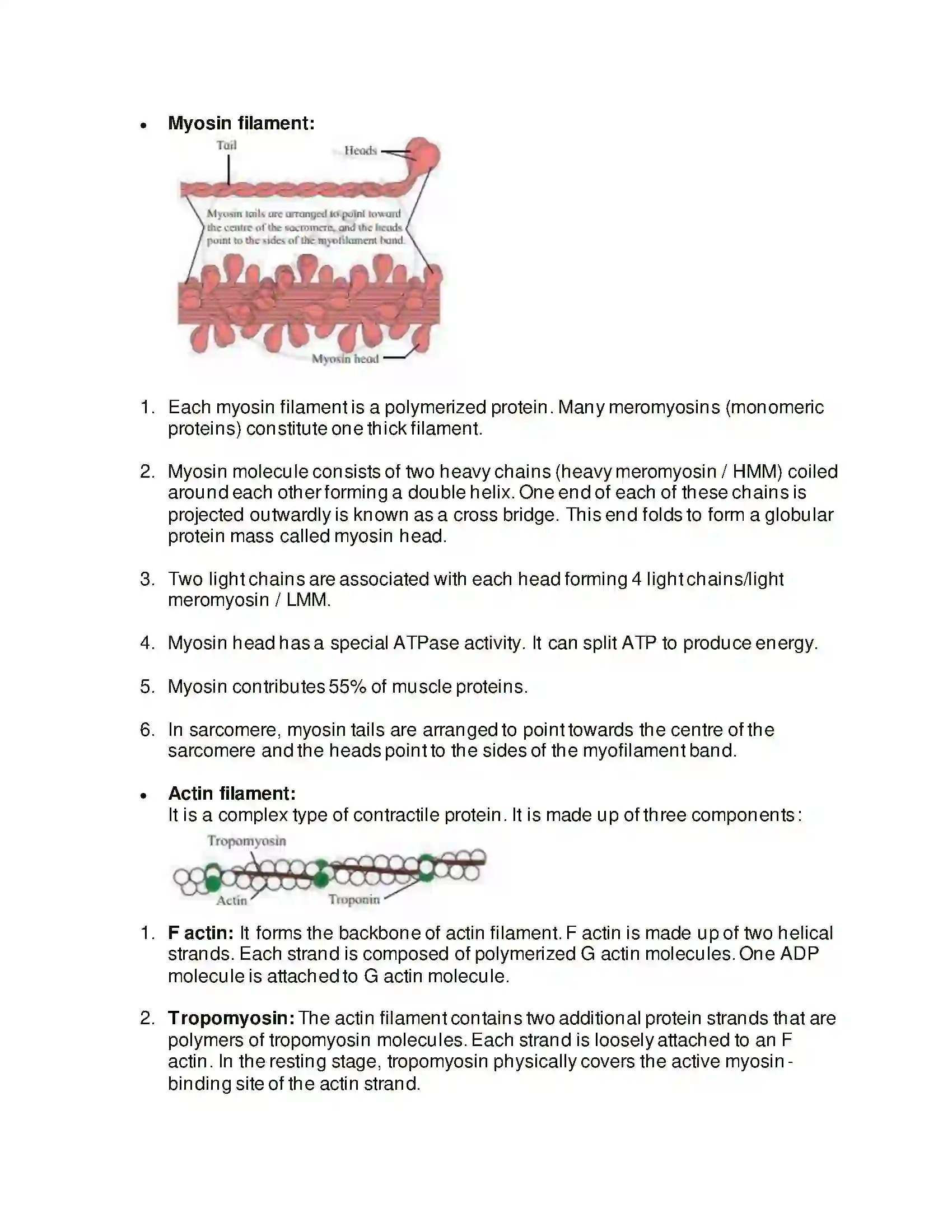 Maharashtra Board Class 11th Biology Skeleton and Movement Solution 8