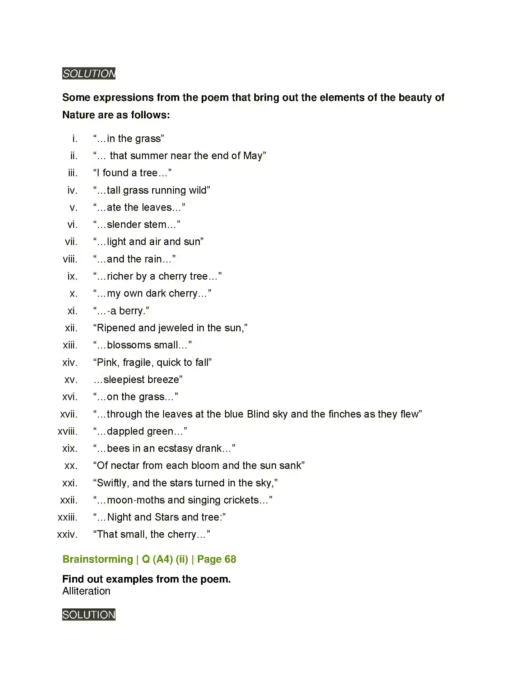 Maharashtra Board Class 11th English 2.1 Cherry Tree Solution 6