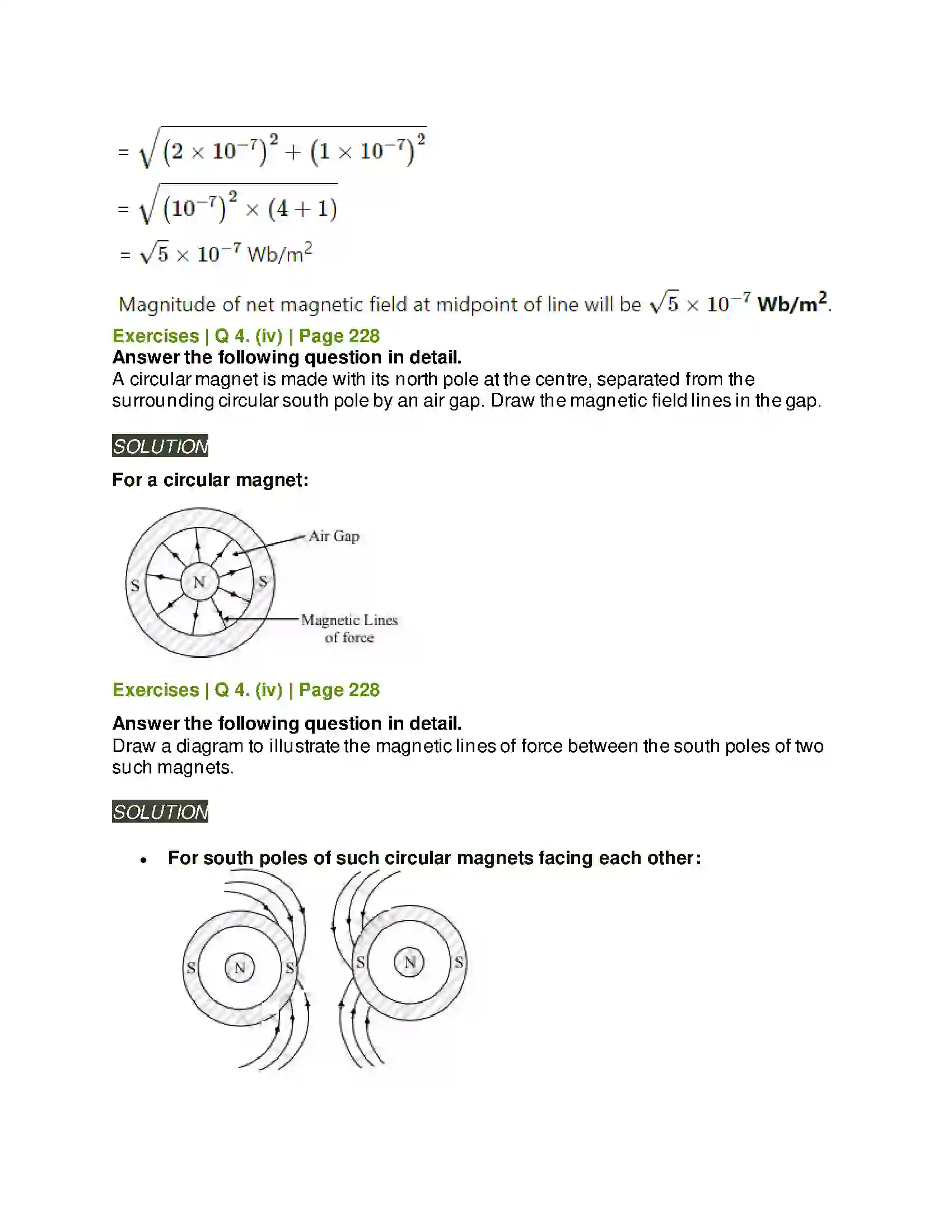 Maharashtra Board Class 11th Physics Magnetism Solution 10