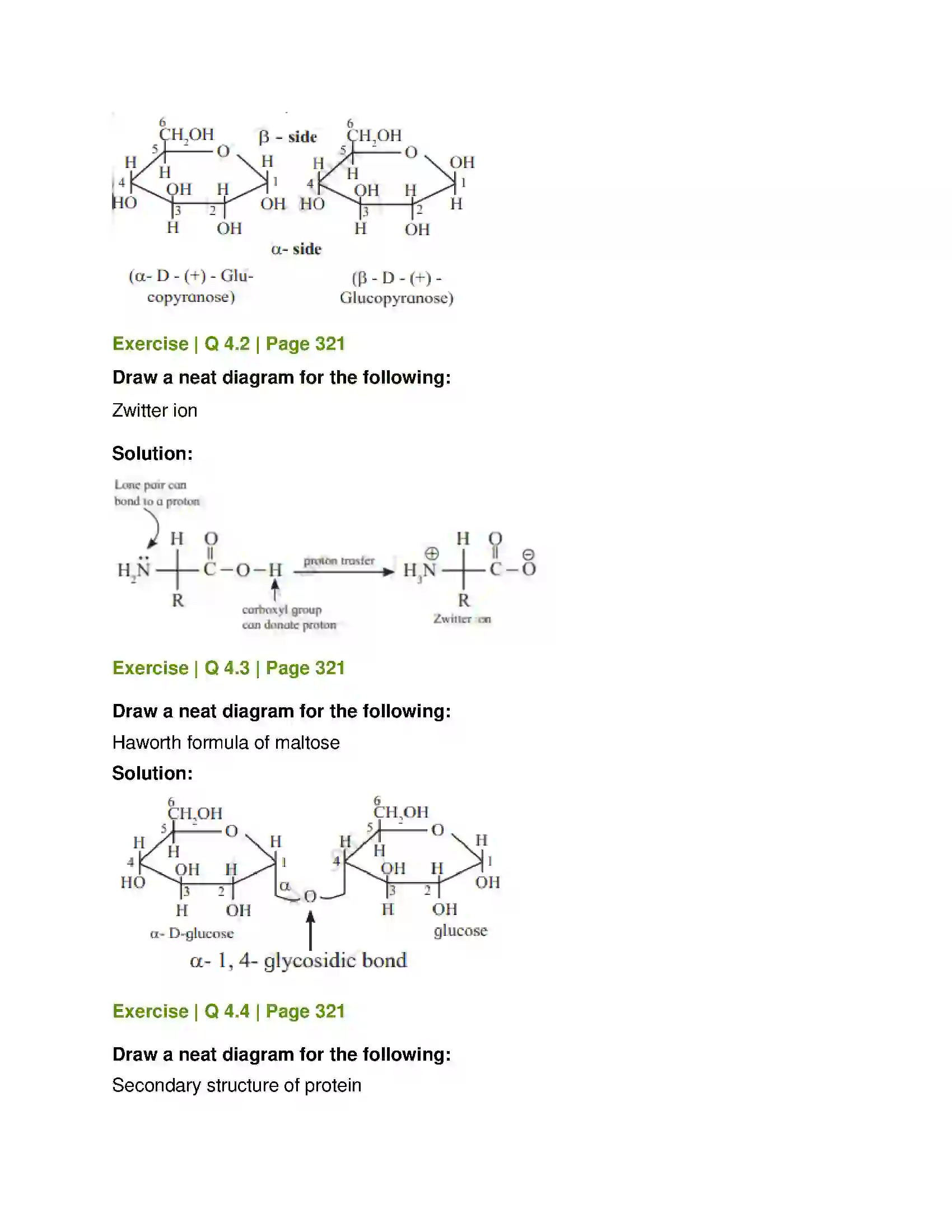 Maharashtra Board Class 12th Chemistry Biomolecules Solution 7