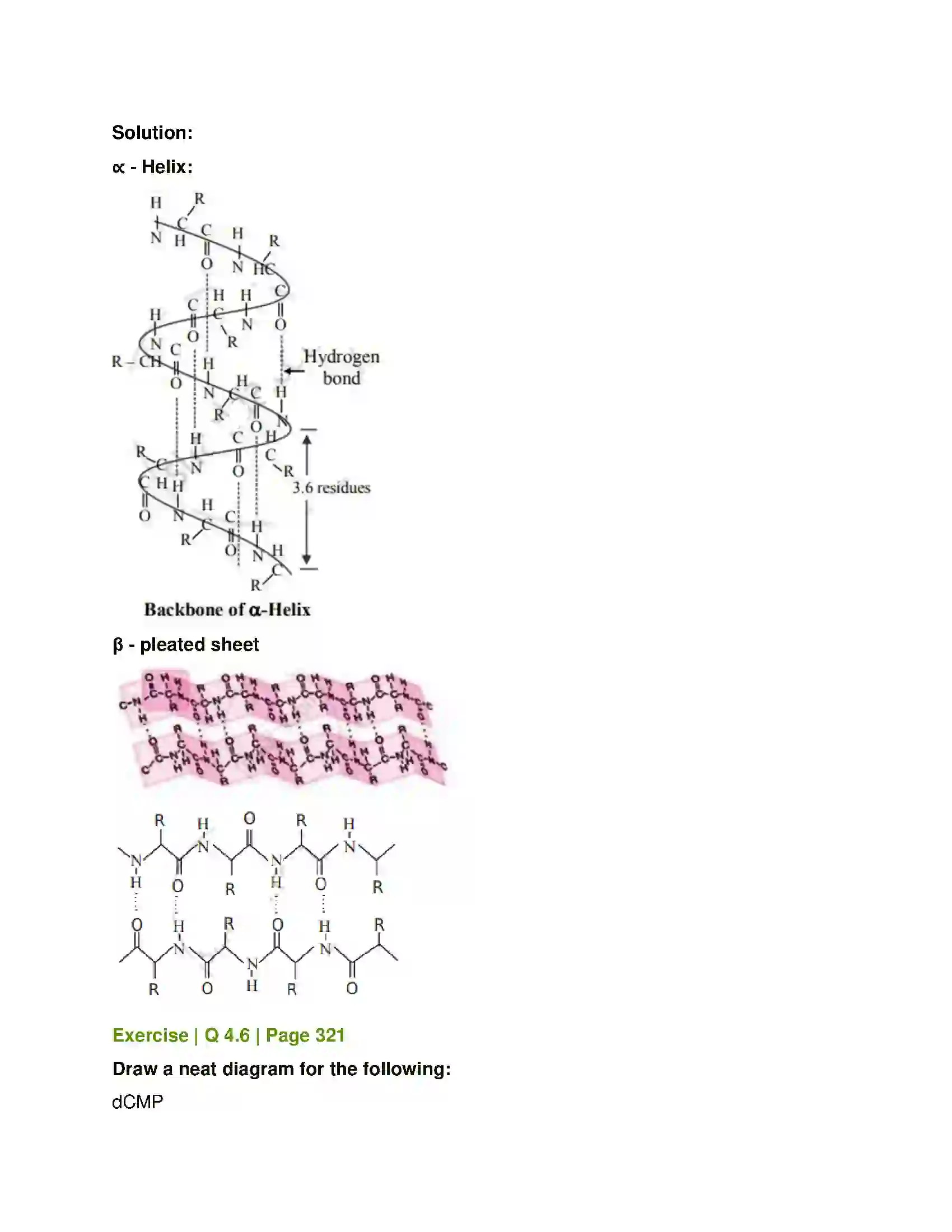 Maharashtra Board Class 12th Chemistry Biomolecules Solution 8