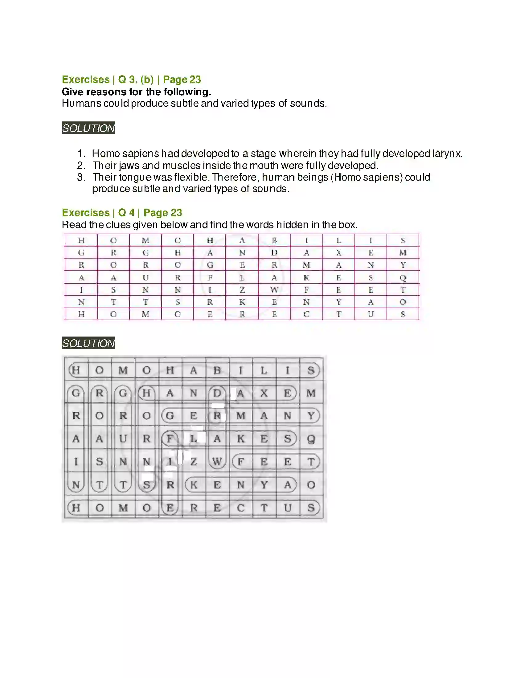 Maharashtra Board Class 5th Environmental Studies - 2 Evolution of Mankind Solution 2