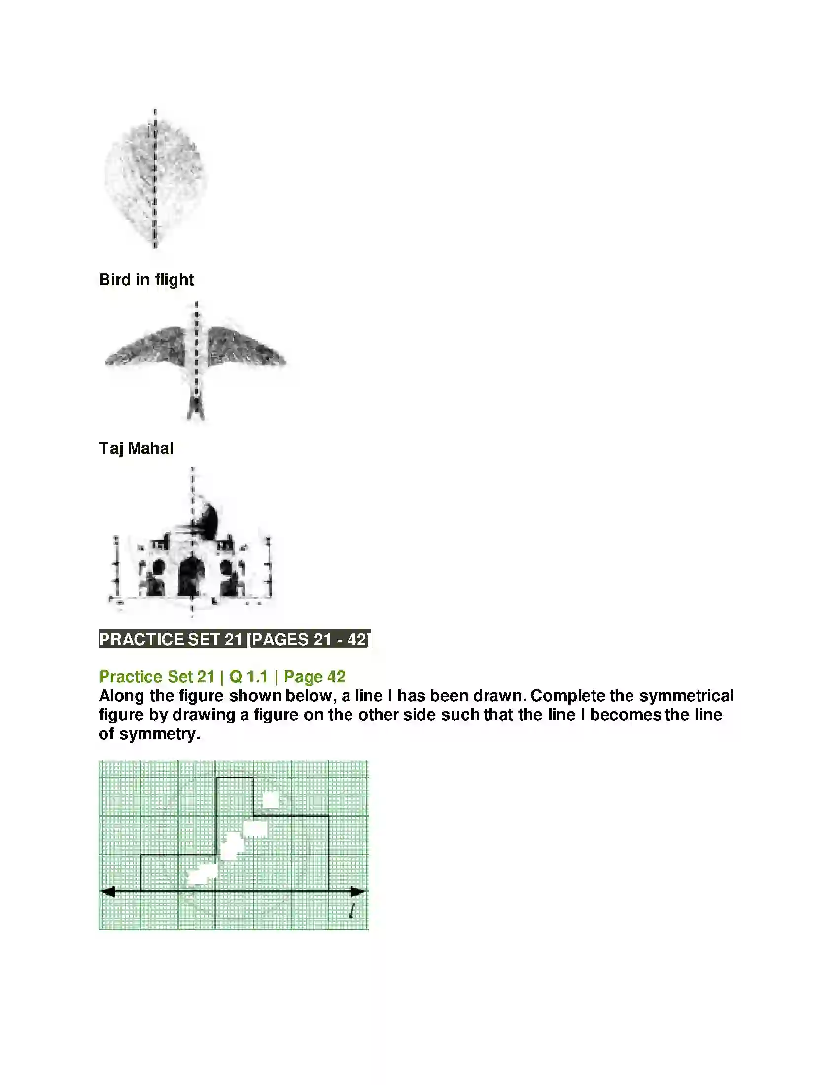 Maharashtra Board Class 6th Mathematics Symmetry Solution 5