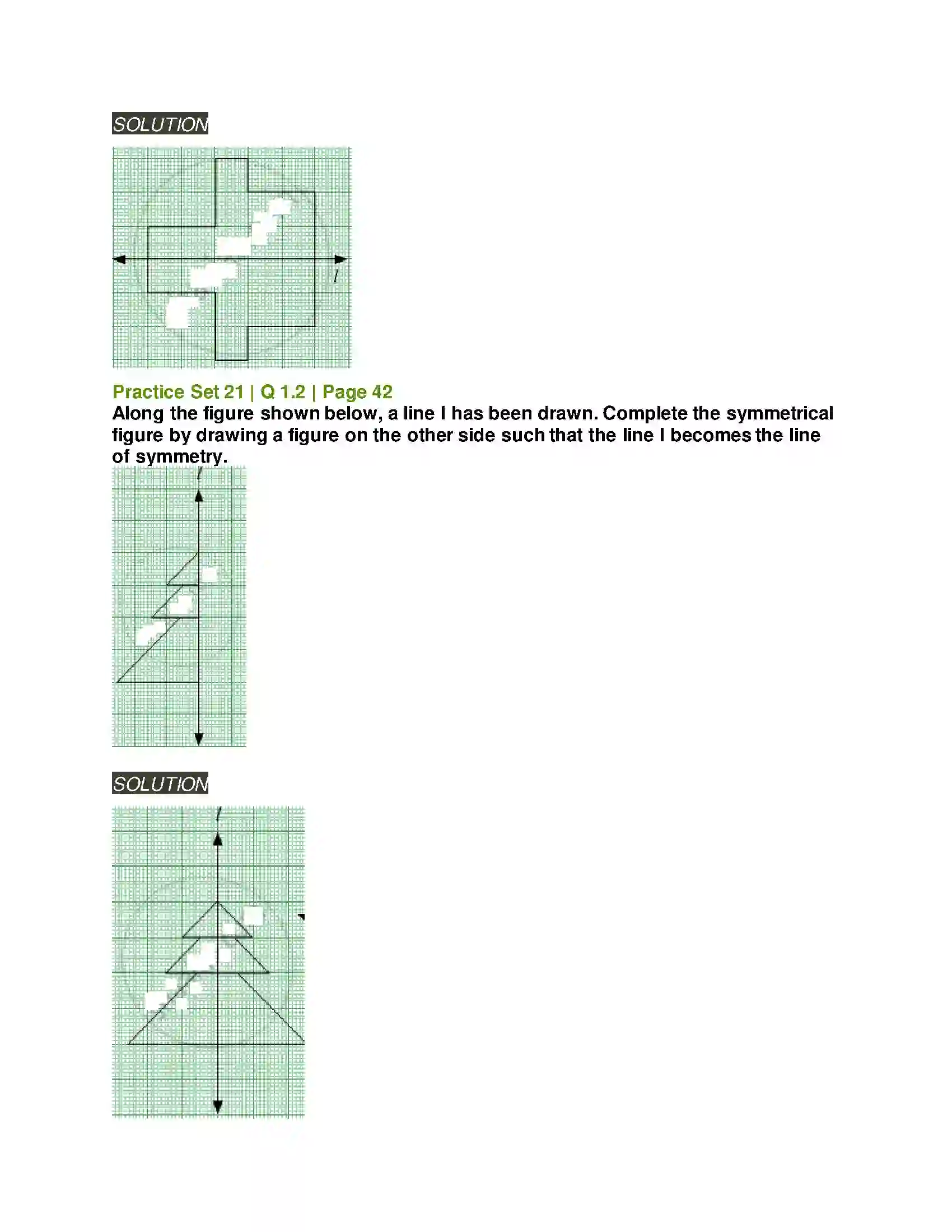 Maharashtra Board Class 6th Mathematics Symmetry Solution 6