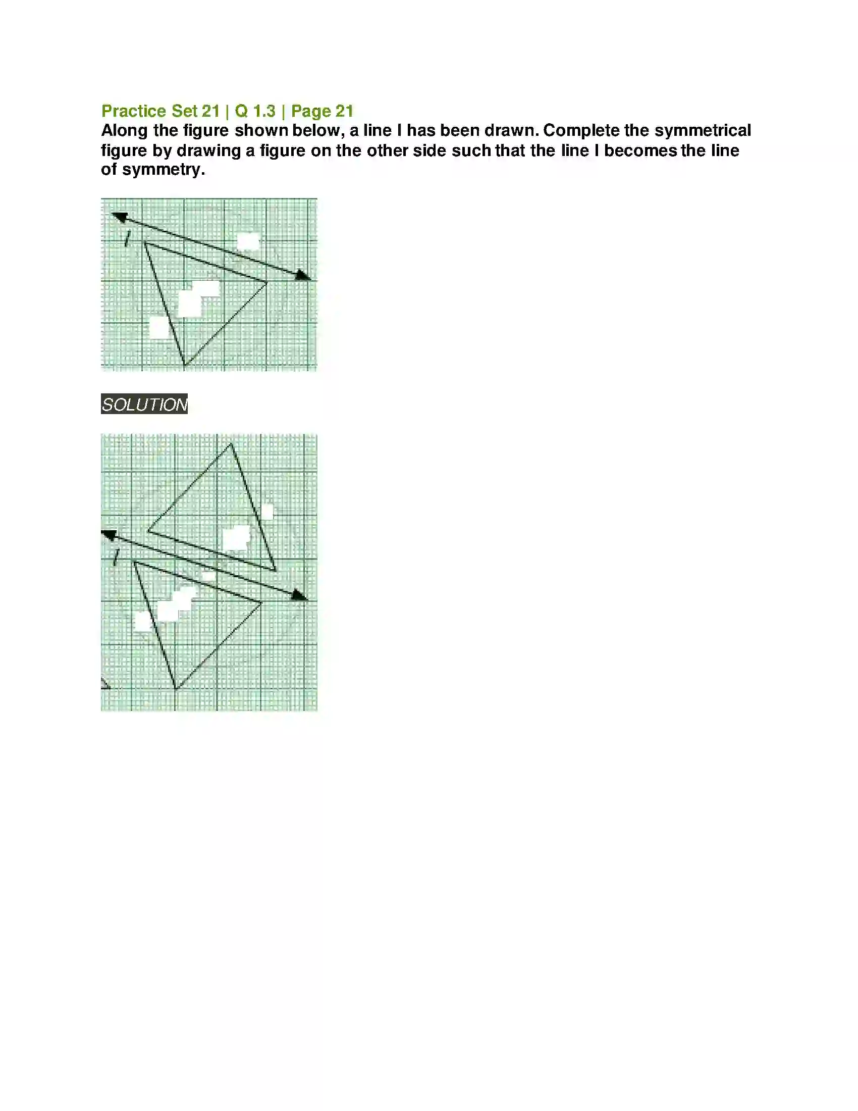Maharashtra Board Class 6th Mathematics Symmetry Solution 7