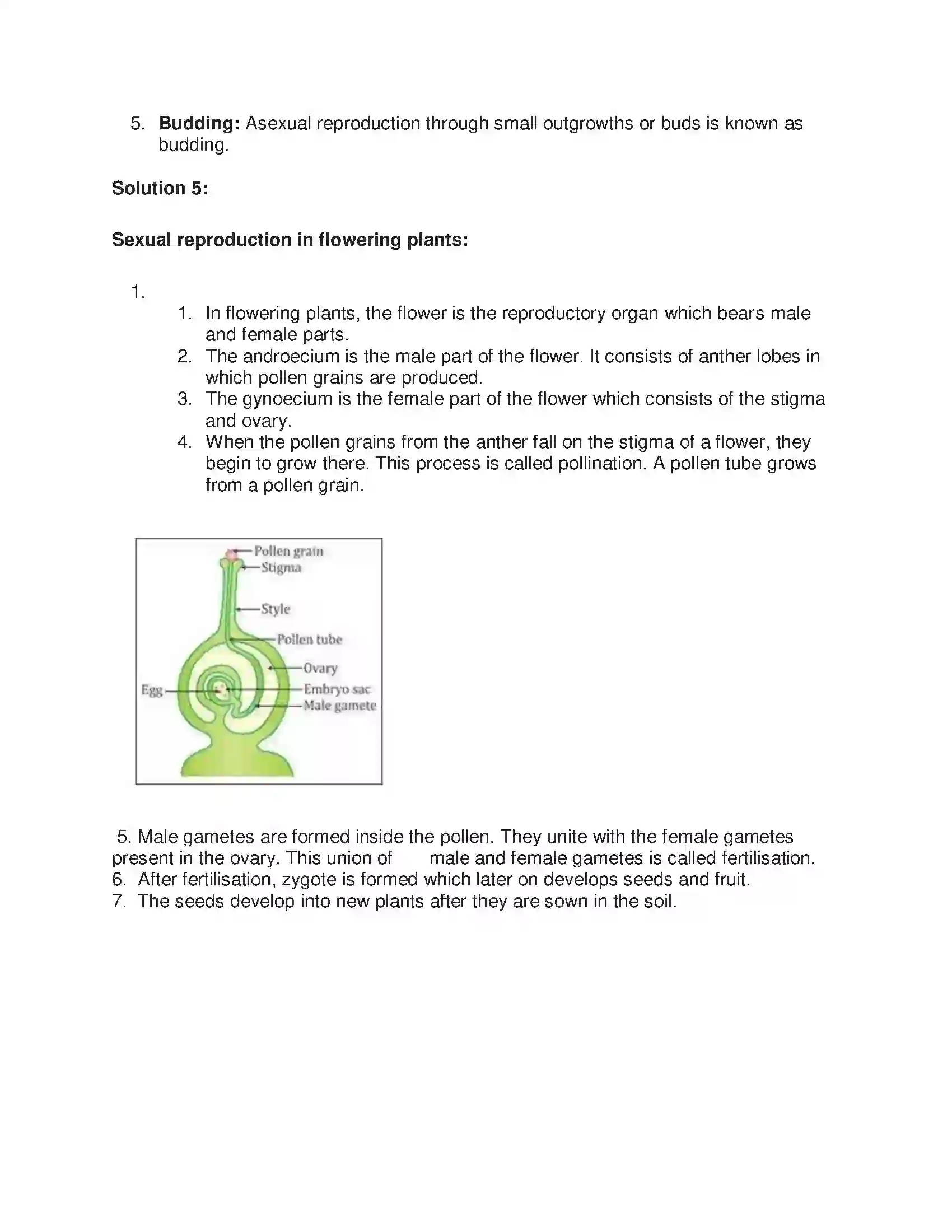 Maharashtra Board Class 7th General Science Reproduction in Living Things Solution 2