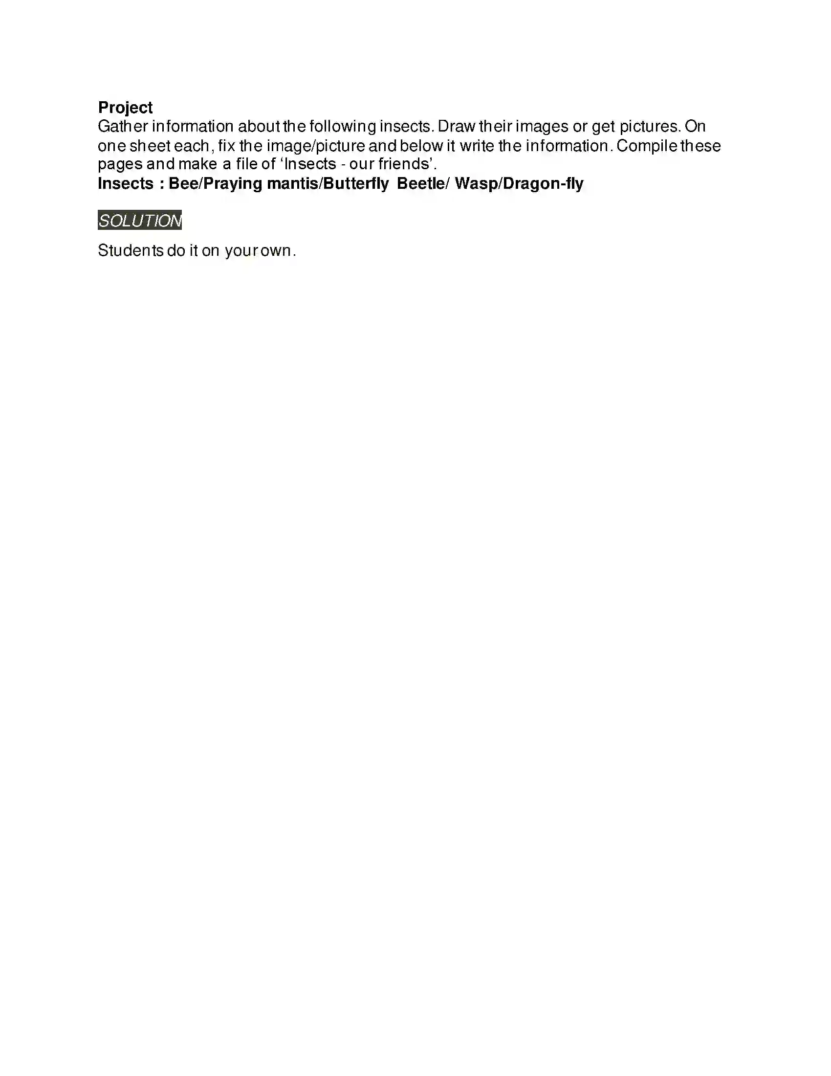 Maharashtra Board Class 8th English 4.3 The Bees Solution 9