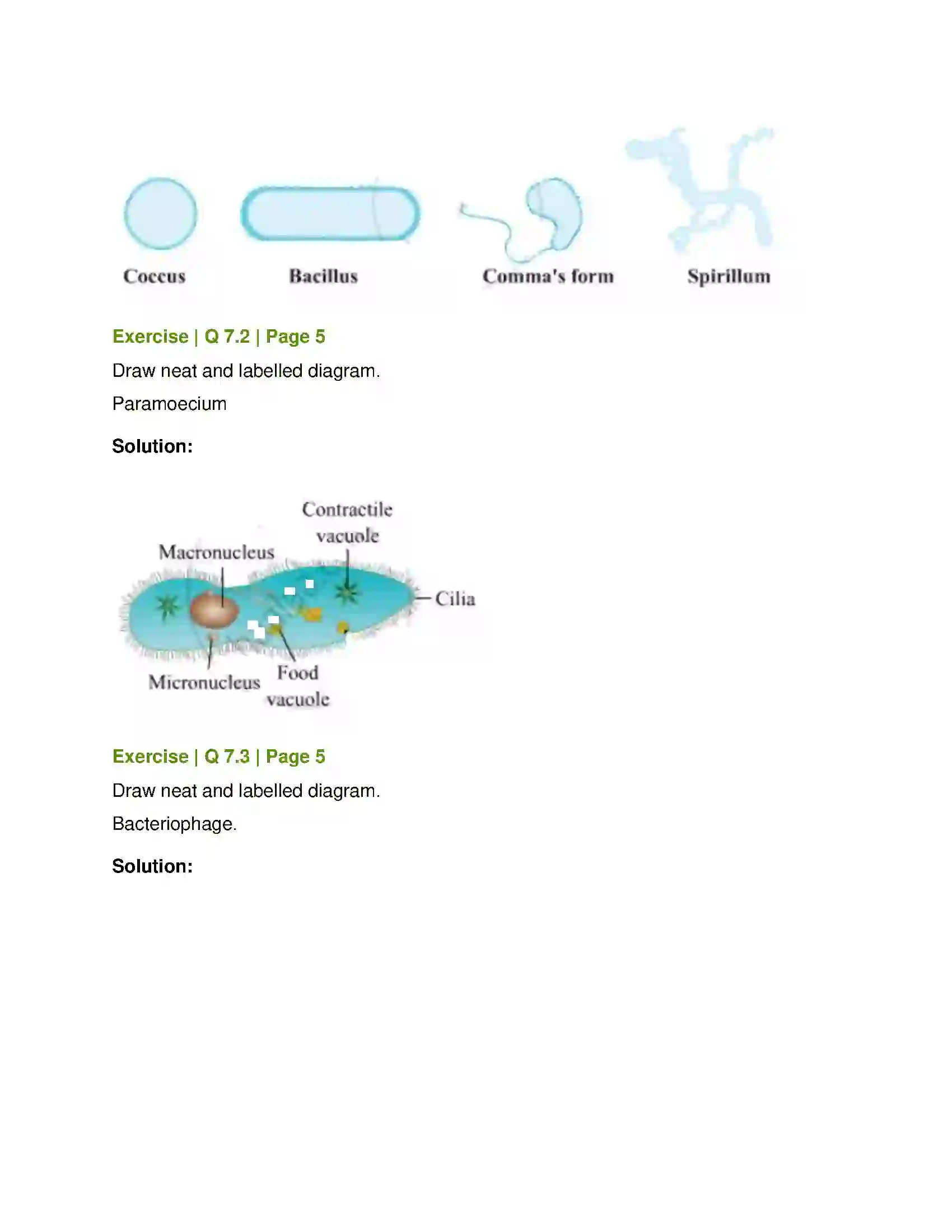 Maharashtra Board Class 8th General Science Living World and Classification of Microbes Solution 7