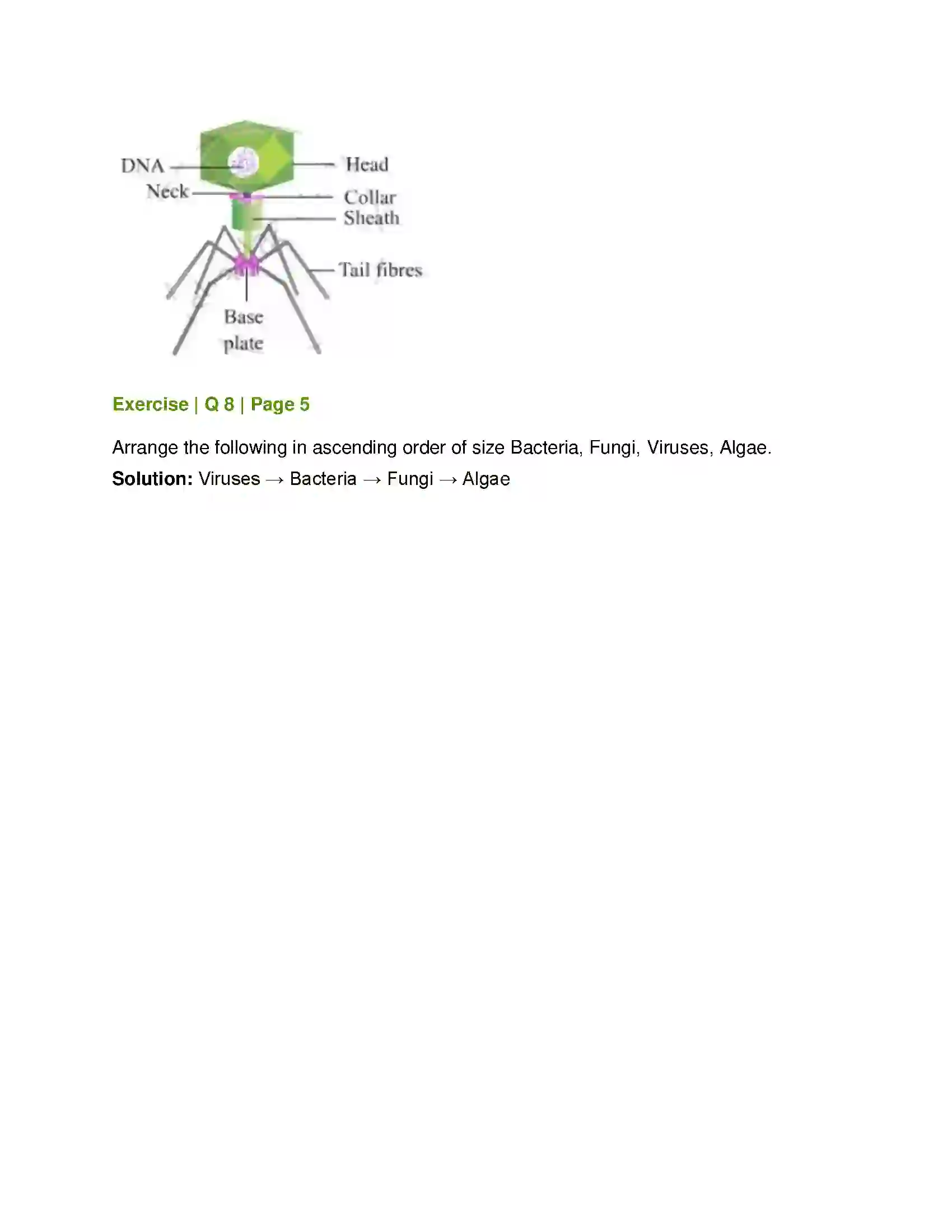 Maharashtra Board Class 8th General Science Living World and Classification of Microbes Solution 8