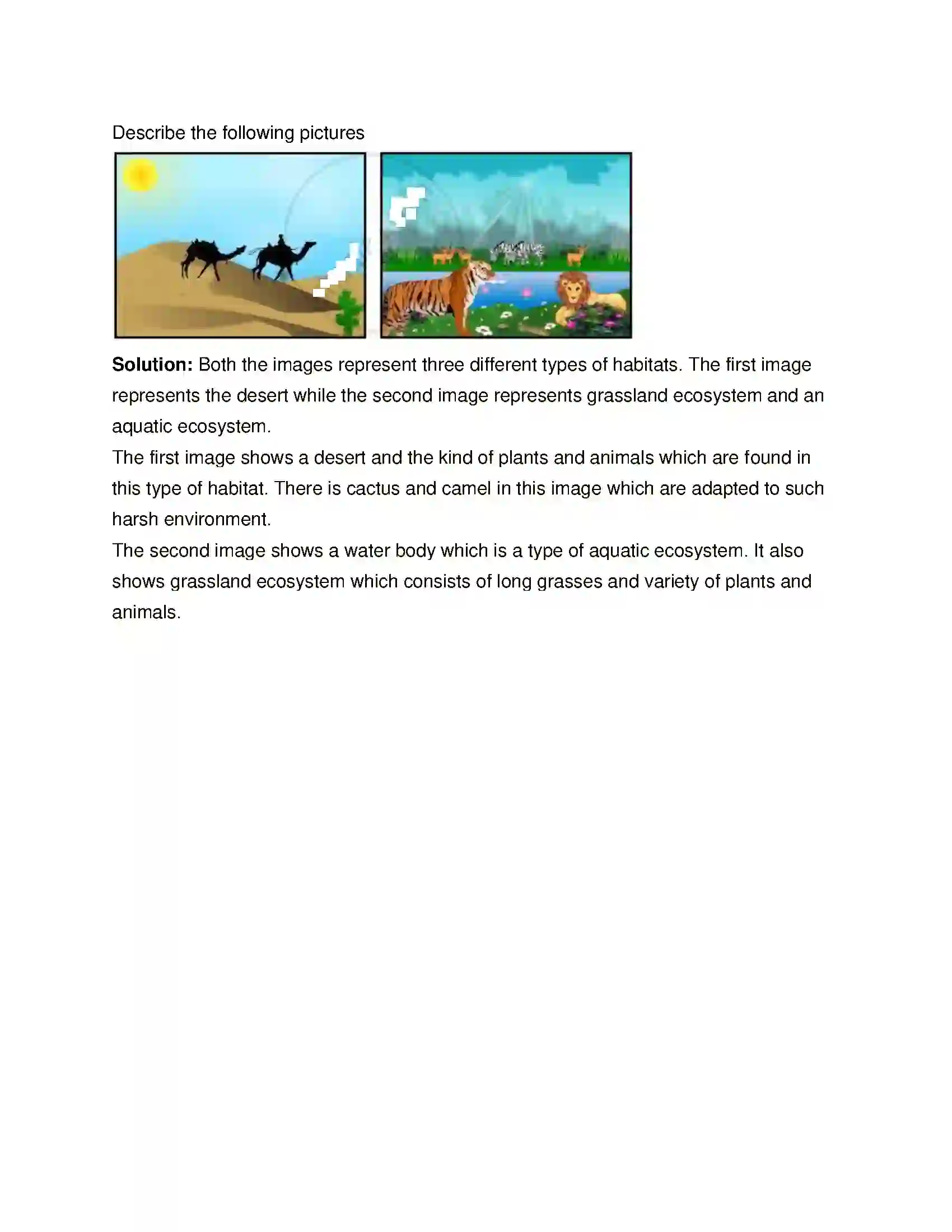 Maharashtra Board Class 8th General Science Ecosystems Solution 6