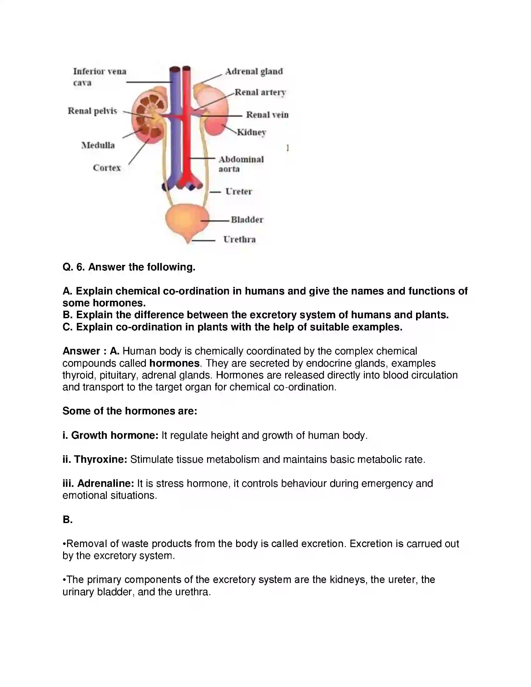 Maharashtra Board Class 9th Science & Technology - English Medium Life Processes in Living Organisms Solution 6